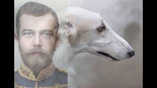 Romanov Documentary: Borzoi