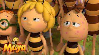 Honey ban for Willy - Maya the bee