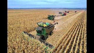 CORN HARVEST END SEASON / 4x JOHN DEERE COMBINE (4K)