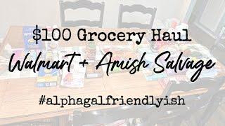 $100 Weekly Grocery Haul | Shopping with Alpha-Gal Allergy | Amish Store & Walmart Finds