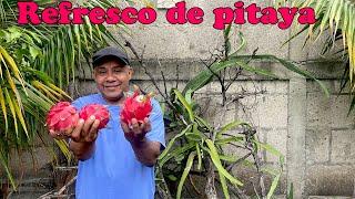 Un refresco de pitayas  Frutas de mi patio