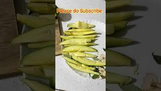 Raw Mango Bytes |#ytshorts #trending #viral #cooking #mango #mangibyte |#lkv-tech #rythubadi #shorts