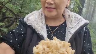 Me and my husband searching local mushrooms  in forest #tibetanvlogger #mushroom #wildlife