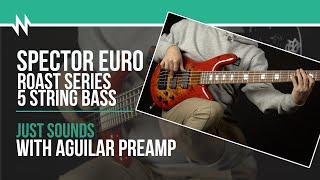 Just Sounds: Spector EURO Roast 5 String Bass Guitar With Aguilar Preamp