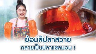 ย้อมสีปลาสวาย กลายเป็นปลาแซลมอน! | We Kids Smile Film