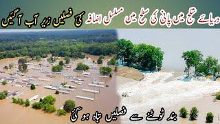 Flood in Panjab River Satalaj/flood Satalaj river/Noorullah99