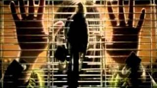 Nermin Puskar - Novi svijet
