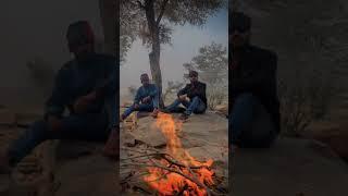 Camping forest #vlog #shorts #shortsvideo