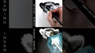 Inverted Drawing of a Lemur in Graphite Pencils - Time-Lapse | Jasmina Susak