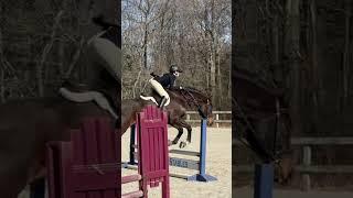 1st home show - 1 o/f Eq course