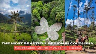 The most beautiful region in Colombia | El Valle del Cocora