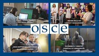 Snapshot: OSCE Project Efforts to Assist Ukraine in 2024 - part 2