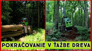 Ťažba dreva s Orvex LT 100,Zetor Proxima, Working in forest 