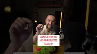 Самые странные названия цветов часть 97 #shorts