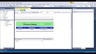 Parameterized reports in ssrs