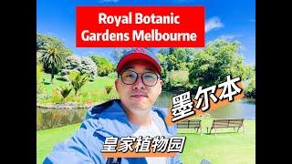 【EP30】澳洲 墨尔本生活｜皇家植物园｜舒适休闲Vlog｜Explore Melbourne Royal Botanical Gardens