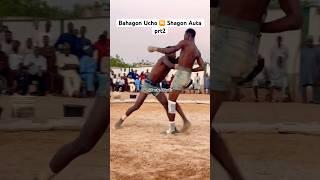 Bahagon Ucho  Shagon Auta prt2, #sports #africanknockout #boxingevent #africa #dambe #dambeabkartv