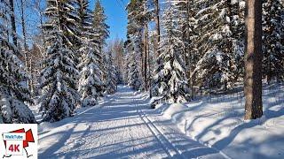 WALKING in Jyväskylä, FINLAND Winter (February) 2023,  Temperature -24°