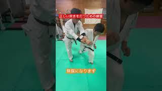 【空手】パンチ力を上げるための考え方と練習方法　解説！！#aikido ＃karate #martial #合気道 #武道 #空手