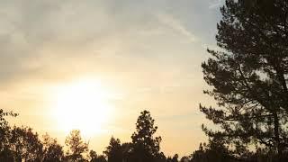 Sitar Sunset - Dec 9, 2020