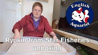 Short tail Ryukin Fancy Goldfish Unboxing from Star Fisheries (BEST  Goldfish Supplier in Europe)