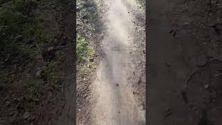 walk and talk ep27
