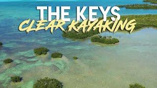 Clear Kayak Tours in The Keys - Get Up And Go Kayaking