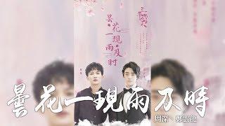 周深 + 鄭雲龍 -《曇花一現雨及時》(電視劇三千鴉殺主題曲)｜CC歌詞字幕