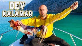 DEV KALAMAR YAKALADIM YEDİM - Denizde Tek Başıma