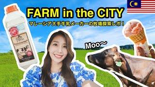 [The Acre by Farm Fresh] Am I really in Malaysia?