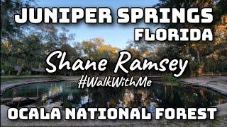 Juniper Springs Recreation Area Tour,  Crystalline Natural Spring, Ocala National Forest, Florida