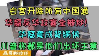 白宫开除所有中国通！华裔反华政客全被炒鱿鱼！美国国安泄密，华裔政客成背锅侠，川普：馊主意都是他们出的！