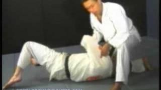 Renzo Gracie - Brazilian Jiu-Jitsu, Gracie Jiu-Jitsu MMA