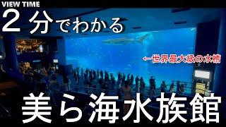 【圧巻の超巨大水槽】美ら海水族館（沖縄/実際どうなの？/見どころ/料金）