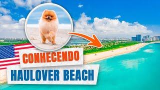 COMO É A PRAIA DOS CACHORROS NOS ESTADOS UNIDOS?! Haulover Beach