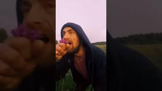 ДУШНЫЕ НАТУРАЛИСТЫ (Денис Педант)