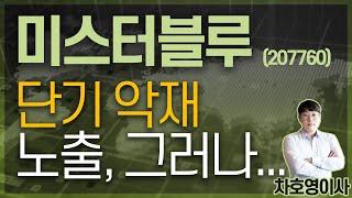 미스터블루 (207760) - 단기 악재 노출, 그러나...