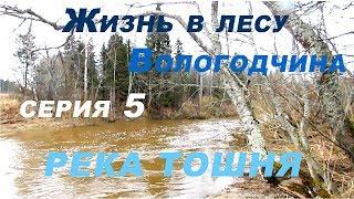 Жизнь в лесу / Вологодчина / серия 5 - РЕКА ТОШНЯ