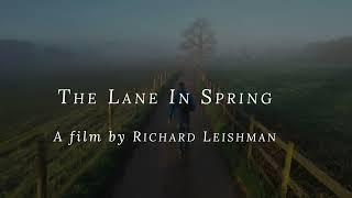 The Lane in spring by drone