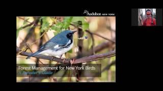 Improving Bird Habitat Through Forestry