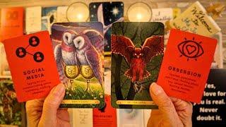 TWIN FLAME!! THEY'RE OBSESSING OVER YOU IN EVERY WAY!! ️ LOVE TAROT