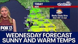 Tampa weather | Mild conditions for Christmas