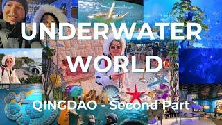 Qingdao Underwater World Adventure: Exploring Qingdao 海底世界探险：青岛的奇妙之旅  / Qingdao Second Part ENG SUB