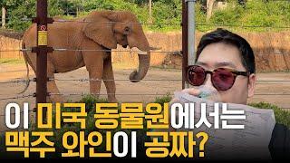 들어갈 땐 맨정신이지만 나올 때는 만취되어서 나오는 그곳?! 미국 동물원 브이로그 Atlanta Zoo