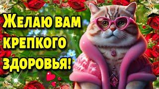 С ДОБРЫМ УТРОМ!ЧУДЕСНОГО ДНЯ! Красивая музыкальная открытка