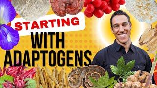 How to Start Taking Adaptogens like Reishi Mushroom w/ @3xlessstress13