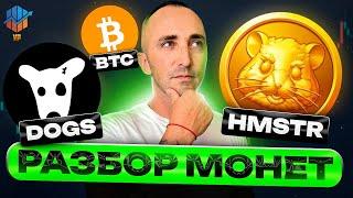 Биткоин прогноз | Монеты: DOGS, HMSTR, 5ire, SUI, HIPPO