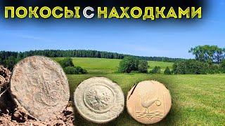 Поиск клада на покосе  Собираем монеты  Коп поиск монет 2024