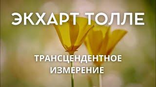 Обнаружение трансцендентного измерения - ЭКХАРТ ТОЛЛЕ [Nikosho]