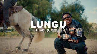 [FREE] Asake x Seyi Vibez Amapiano Type Beat - 'LUNGU'